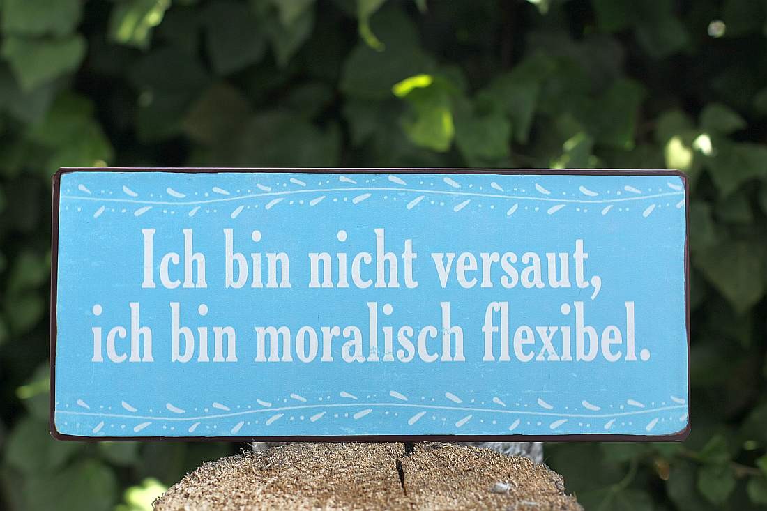 509 Blechschild moralisch flexibel  Nostalgie Schild