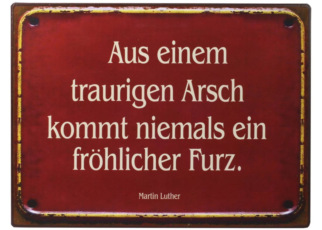 Blechschild Aus einem traurigen Arsch Shabby Antik Nostalgie Schild H26