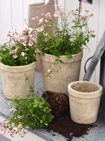 Blumentopf botanique ib laursen shabby chic Osterdeko shabby chic